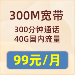 城中村融合套餐300M：99元/月