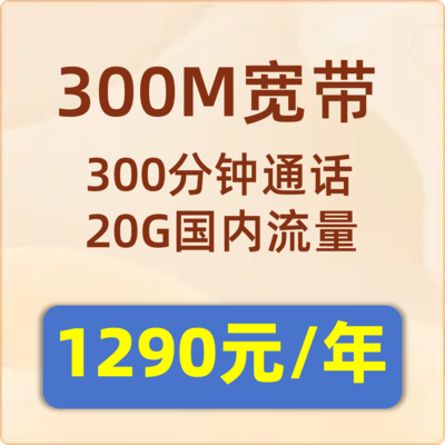 城中村包年宽带300M：1290元包年