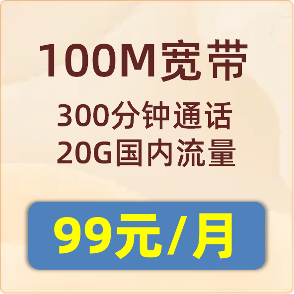 城中村融合套餐100M：99元/月
