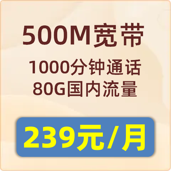 小区融合套餐500M：239元/月