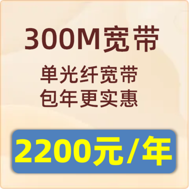 单宽带300M：2200元包年