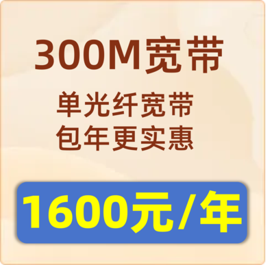 单宽带300M：1600元/年